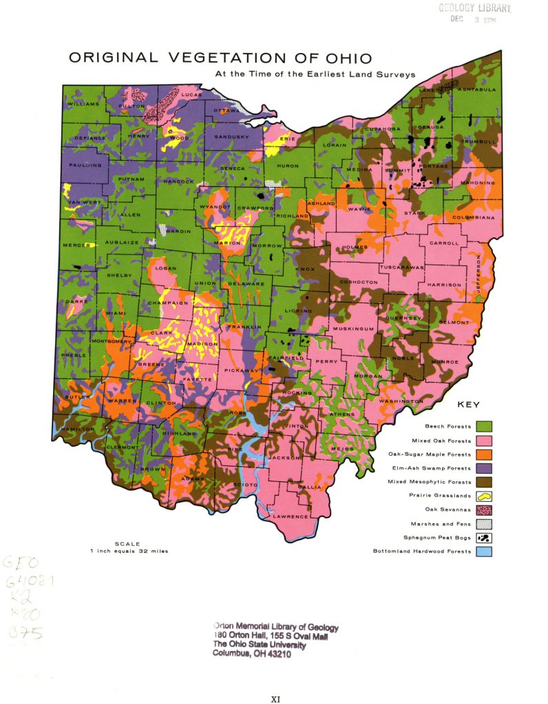 Gordon’s Natural Vegetation of Ohio Map – Building Ohio State