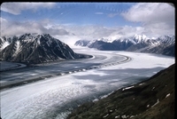 upper Kaskawulsh Glacier, Icefield Ranges 1964 thumbnail