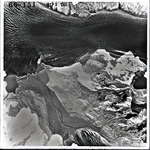 Aerial Glass Slide Negatives of Sherman Glacier thumbnail