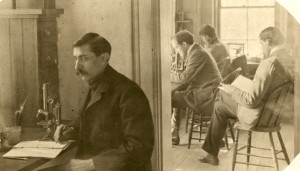 Botany, c1900's
