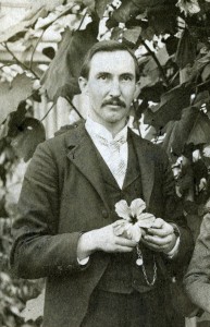 John H. Schaffner, 1900